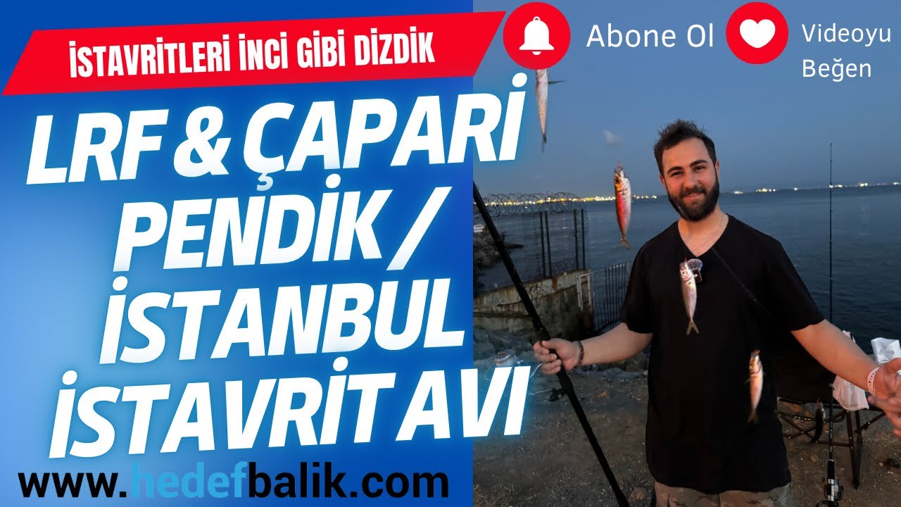 LRF ve Çapari İle Ailecek İstavrit Avı #istavrit #istanbul #pendik