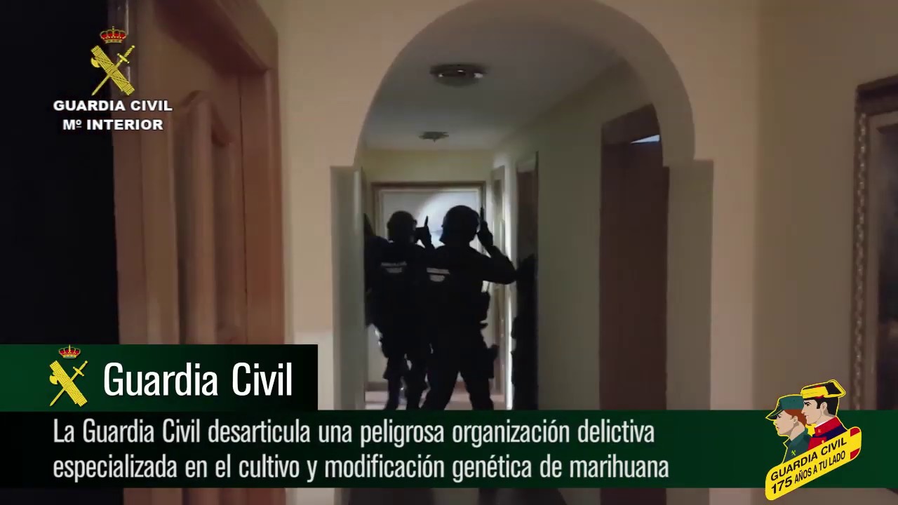 Operación Extinde. Operaciones Guardia Civil. Alicante.