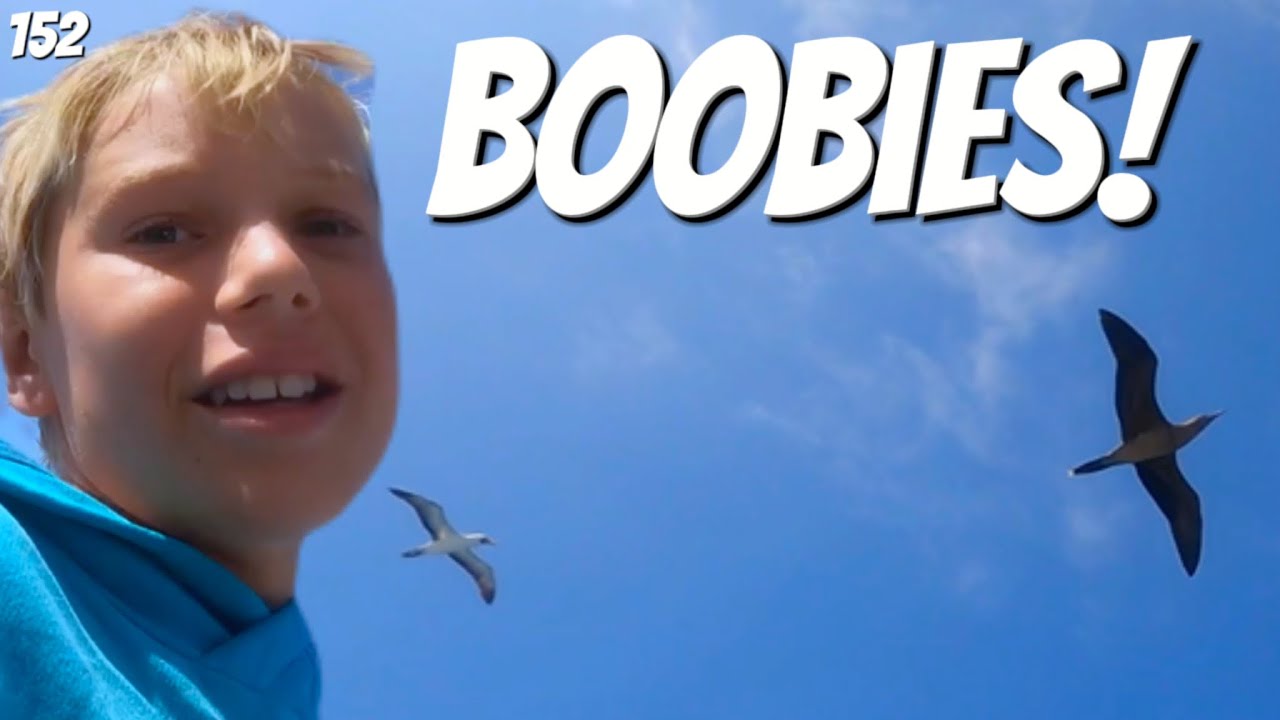 Boobies and Other Animals of the Galapagos! Ep 152