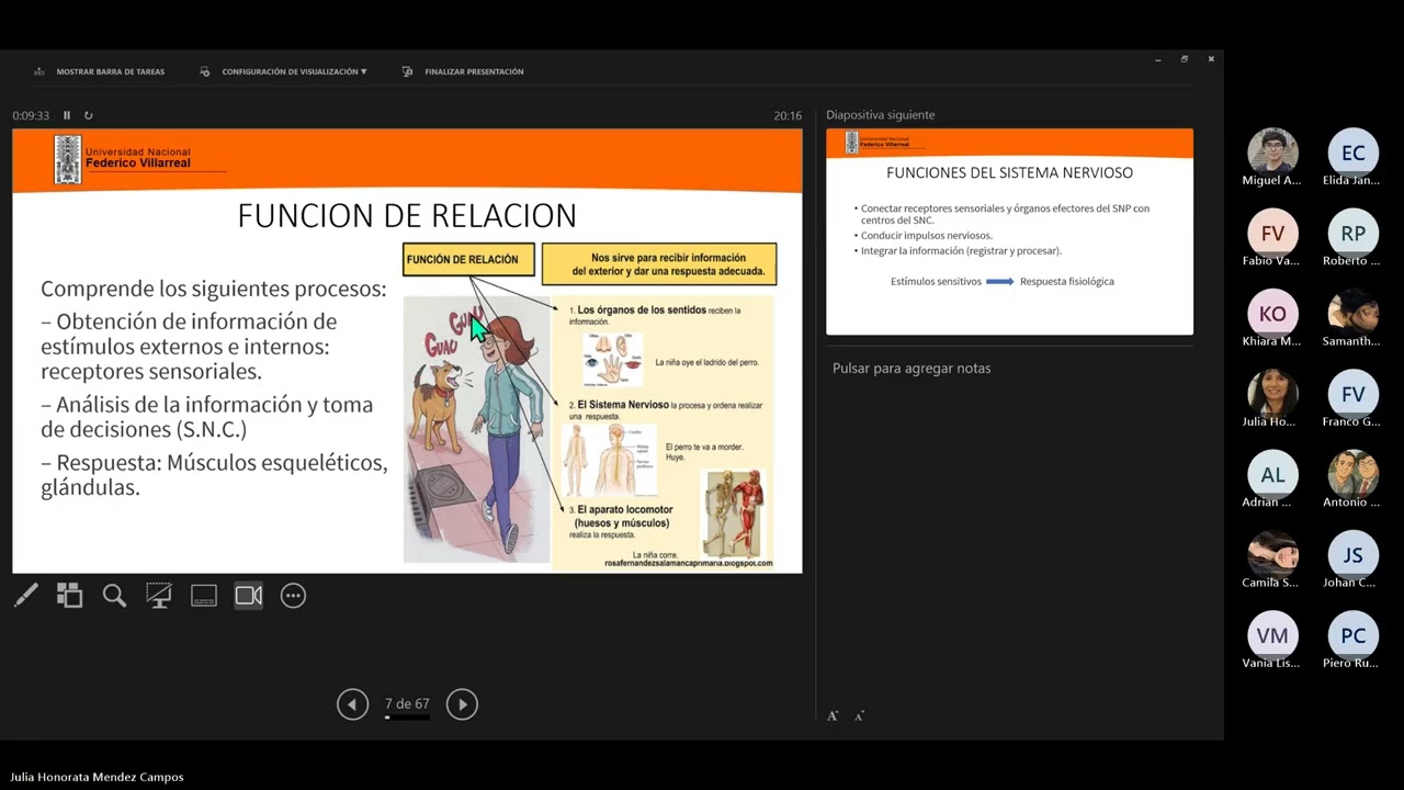 Neuro Clase 1: Revisión anatómica y funcional del SN - Semiología