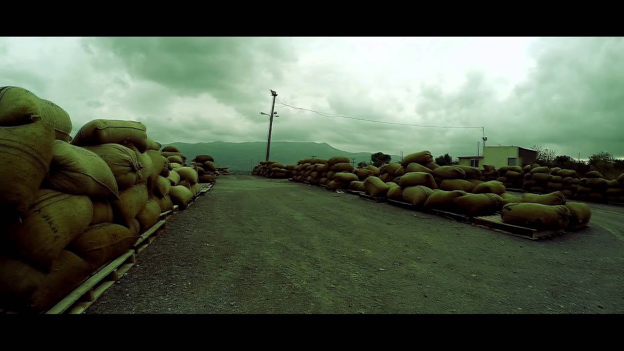 Sitia -The Land Of Olive Oil