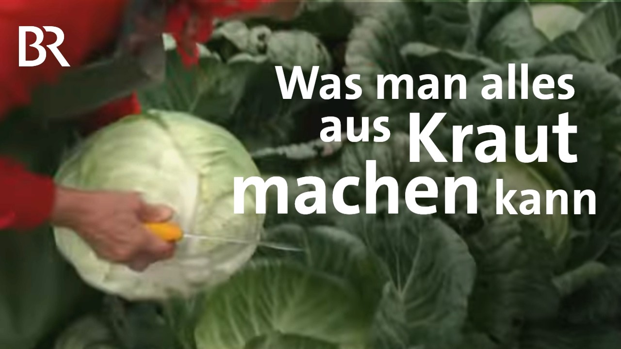 Alles aus Kraut: Pralinen, Pizza und Bier auf dem Heglauer Kraut-Fest | BR