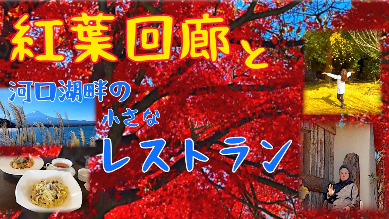 【２０２５年秋最新】河口湖の畔のレストランと紅葉回廊
