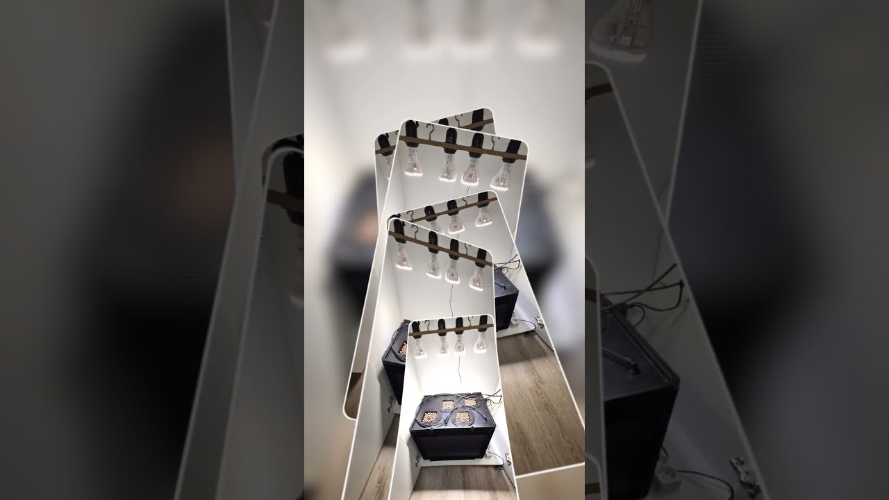 🚀 DIY High Pressure Aeroponics &ndash; Maximale Effizienz f&uuml;r deinen Grow! 🌱💦