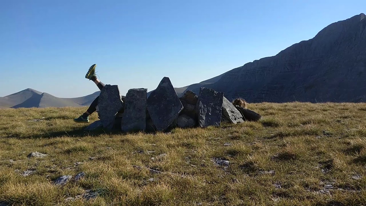 'fupicapra rupicapra'