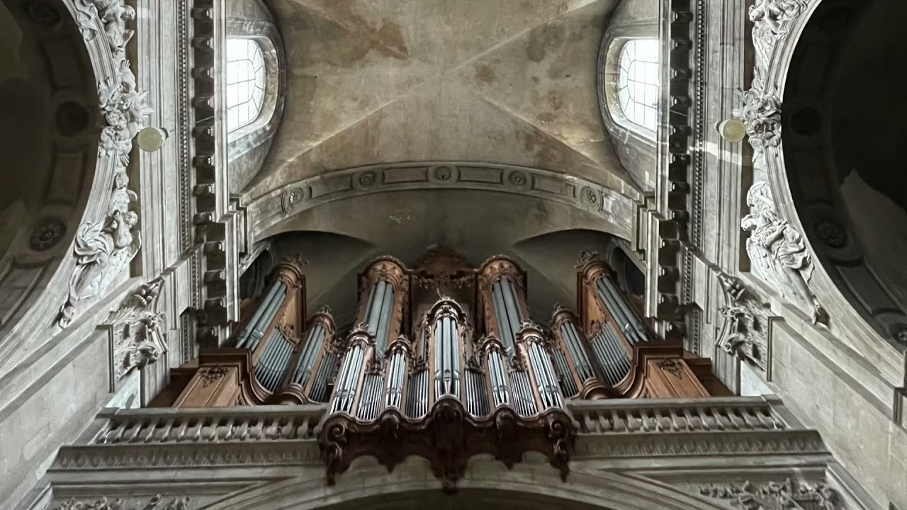 Willem den Boer - Toccata pour Grand Orgue (G. Bélier) | Nancy (F)