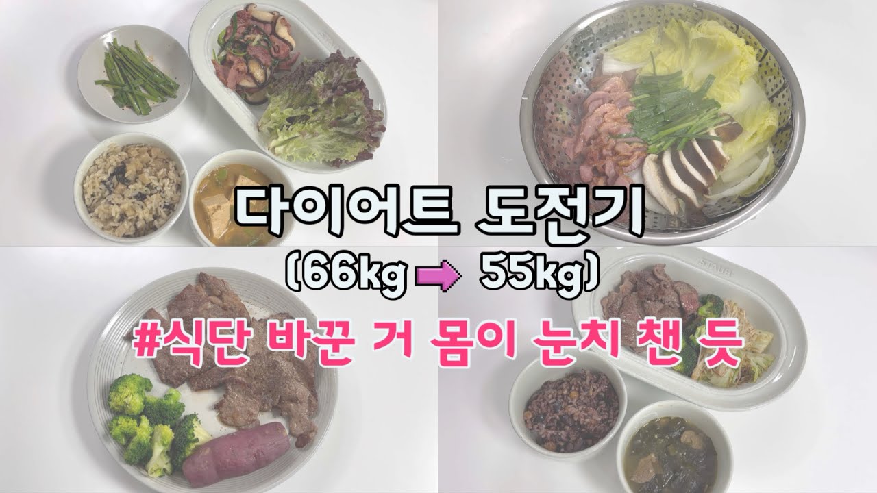 W4. 다이어트도전기 66kg ➡️ 55kg | ep.04 식단을 바꾸니까 살이 빠지는 느낌이랄까? 