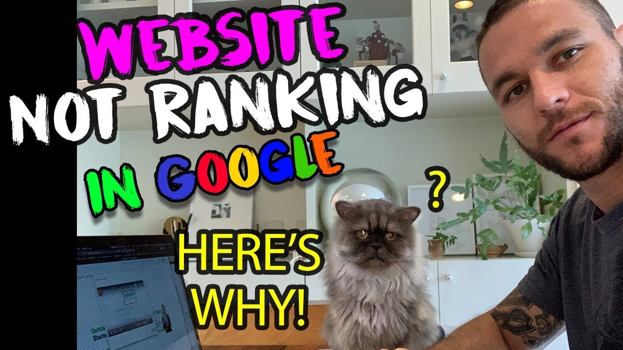Website Is Not Ranking In Google? Here's Why!