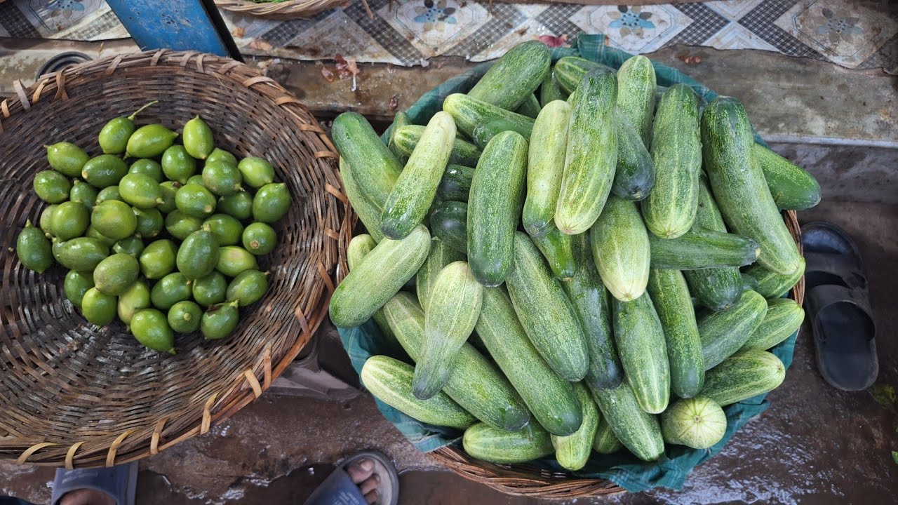 শসার বাজার গরম।