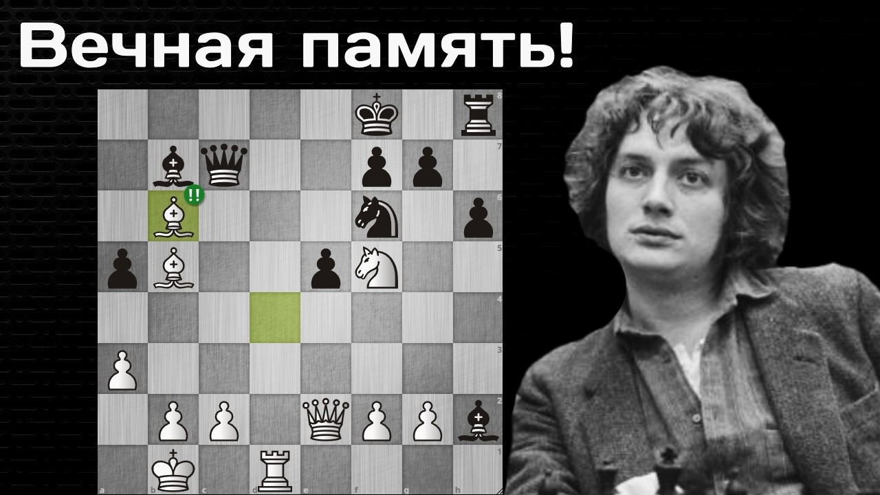 Ян Тимман жертвует КОНЯ, СЛОНА и КАЧЕСТВО Петеру Леко! Гронинген 1996. Шахматы