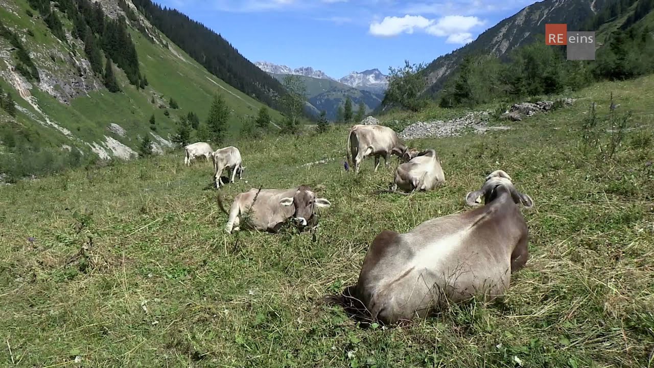 Almtour Sulzlalm