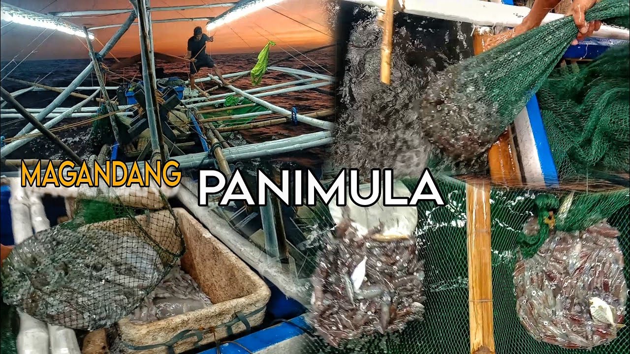 Sinalubong agad ng mga pusit ang bagong bangka | masbate