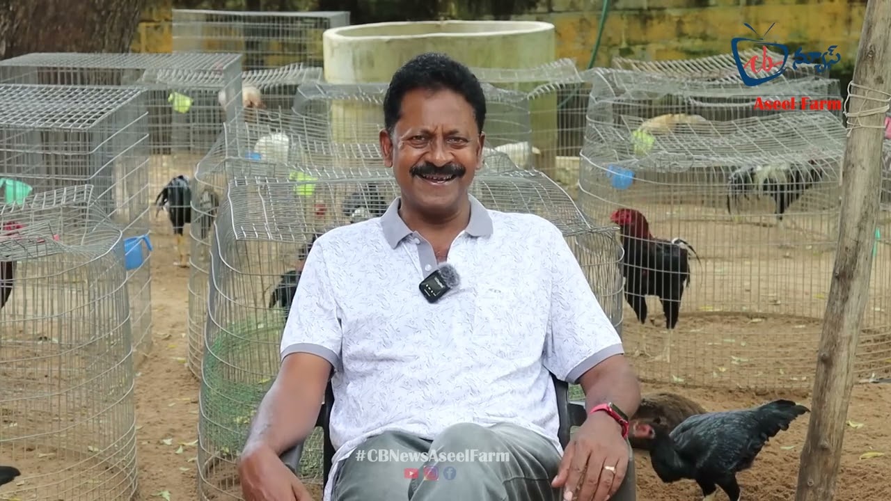 koddi dharah🐓