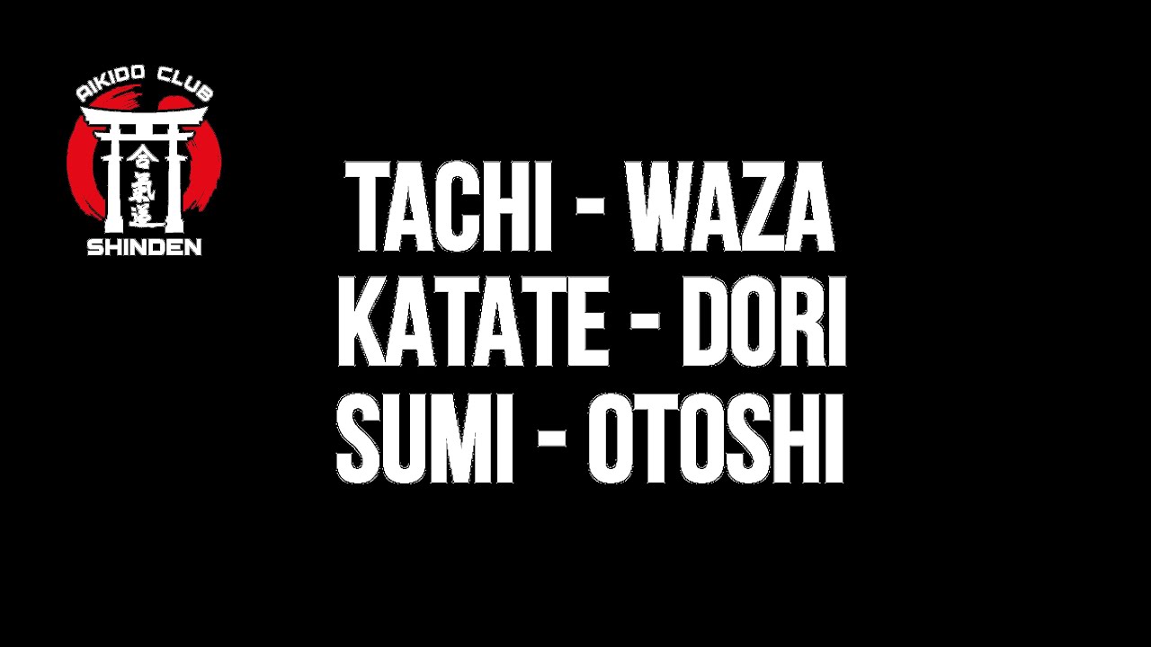 TACHI WAZA KATATE DORI SUMI OTOSHI. Школа айкидо SHINDEN.