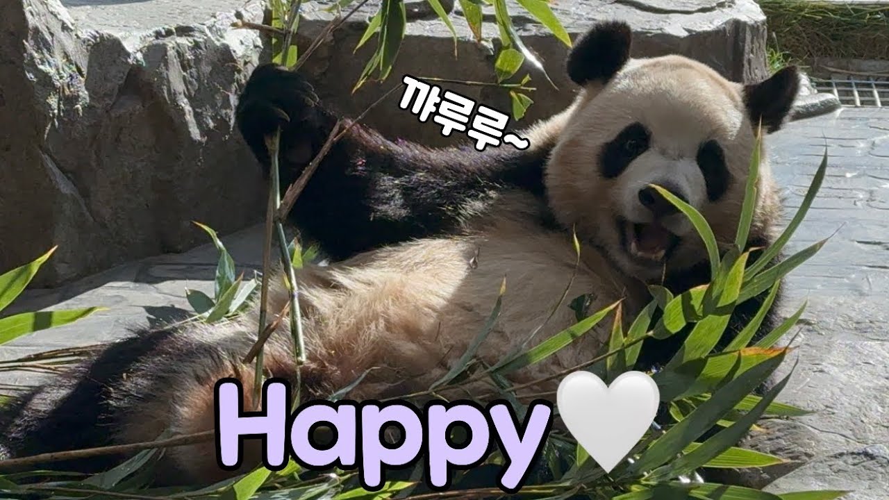 아우~미쳐~ 어쩜 이렇게나 이쁘게 웃어😍💜