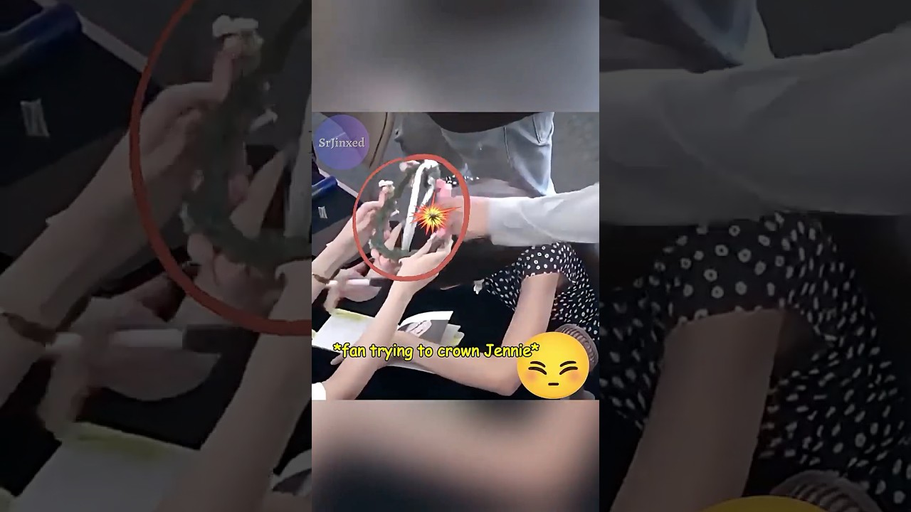 When Jennie of BLACKPINK defended a fan from staff