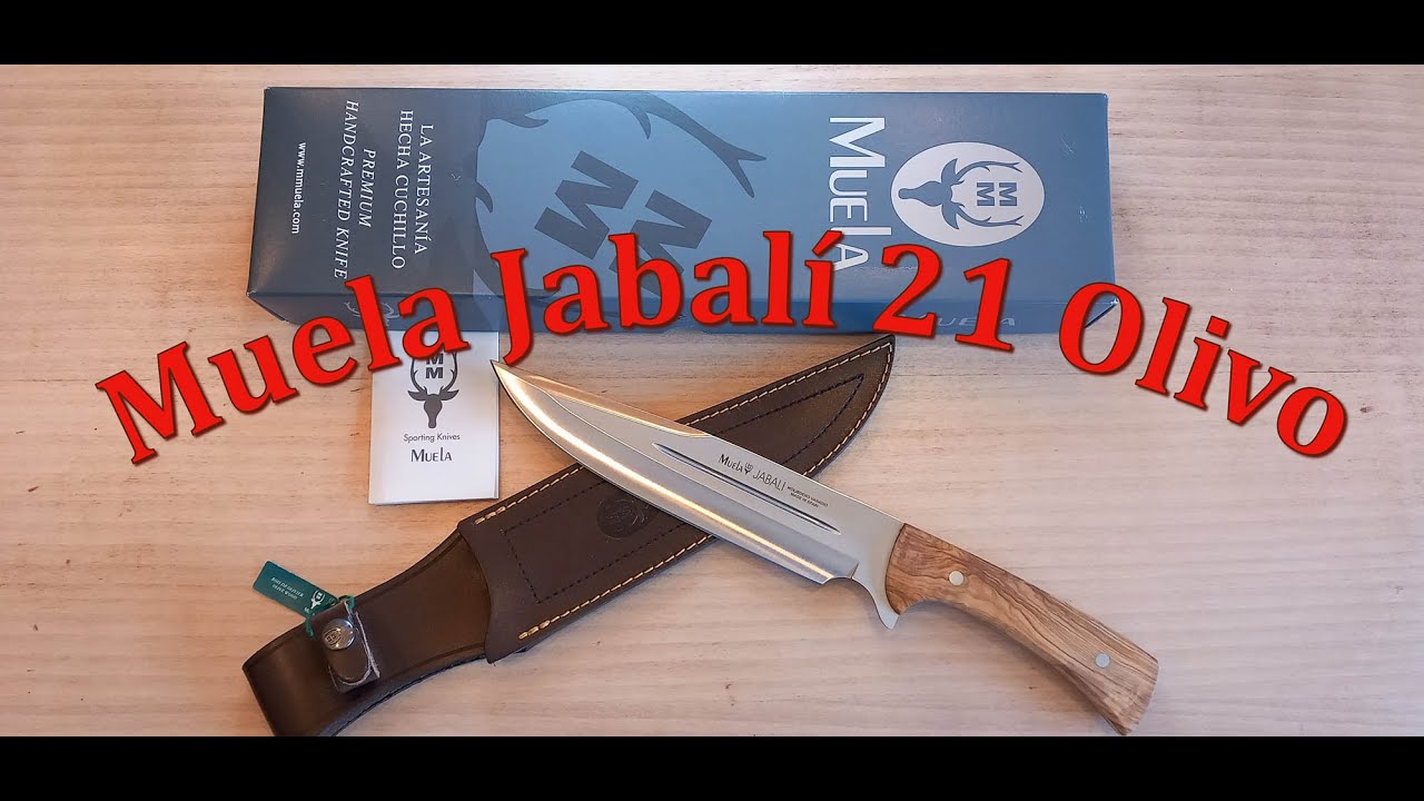 Cuchillo de caza Muela Jabali 21O