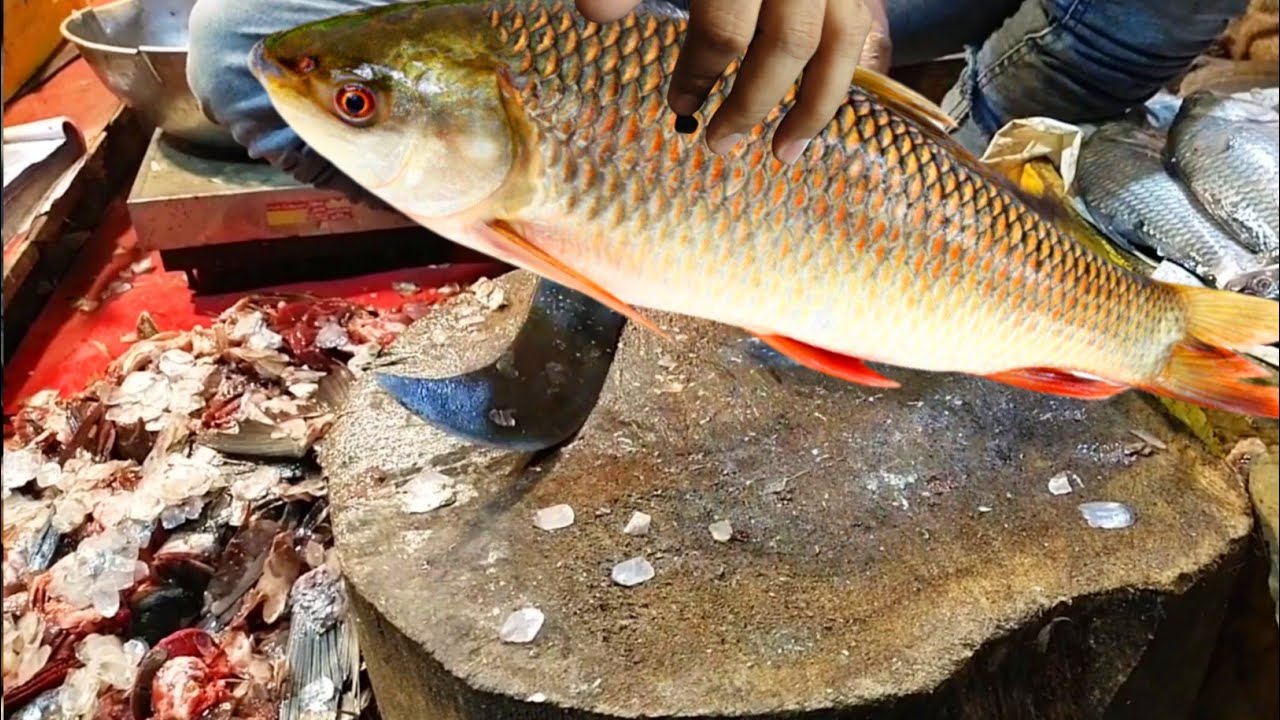 Amazing Cutting Skills l Machli Saaf Karne Ka Tarika l Giant Carp Fish Cleaning & Cutting