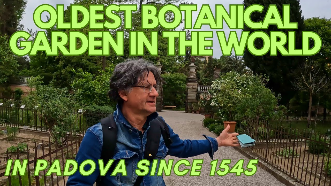 СТАРЕЙШИЙ БОТАНИЧЕСКИЙ САД в мире 🌿 С 1545 года в Падуе, ИТАЛИЯ