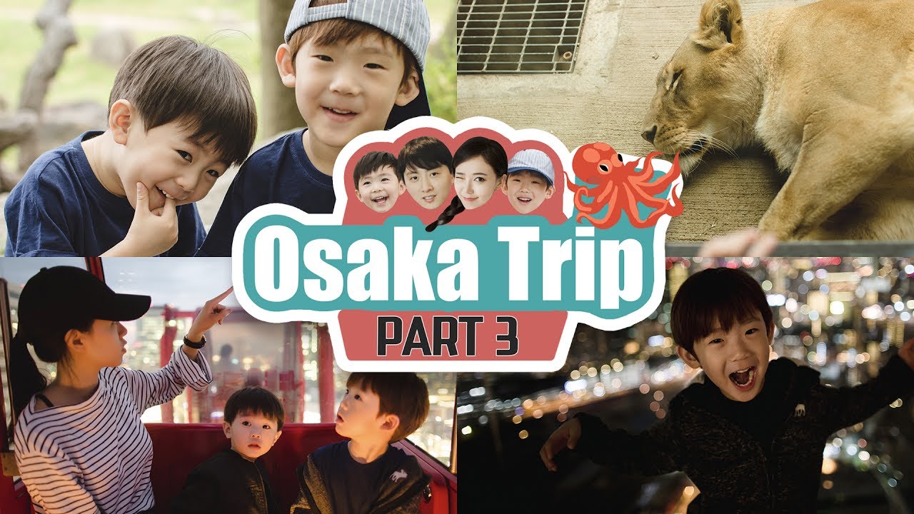 JAPAN VLOG | PART 3 - JAPANESE MAKEUP SHOPPING!! Dotonbori + HEP FIVE 오사카여행 3탄!!