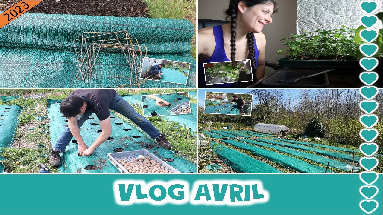 VLOG AVRIL 2023 : Plantation de patate et bien plus !