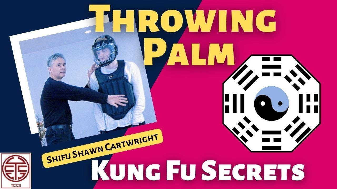 Secrets of Throwing Palm - Iron Palm - Baguazhang & Kung Fu Fighting
