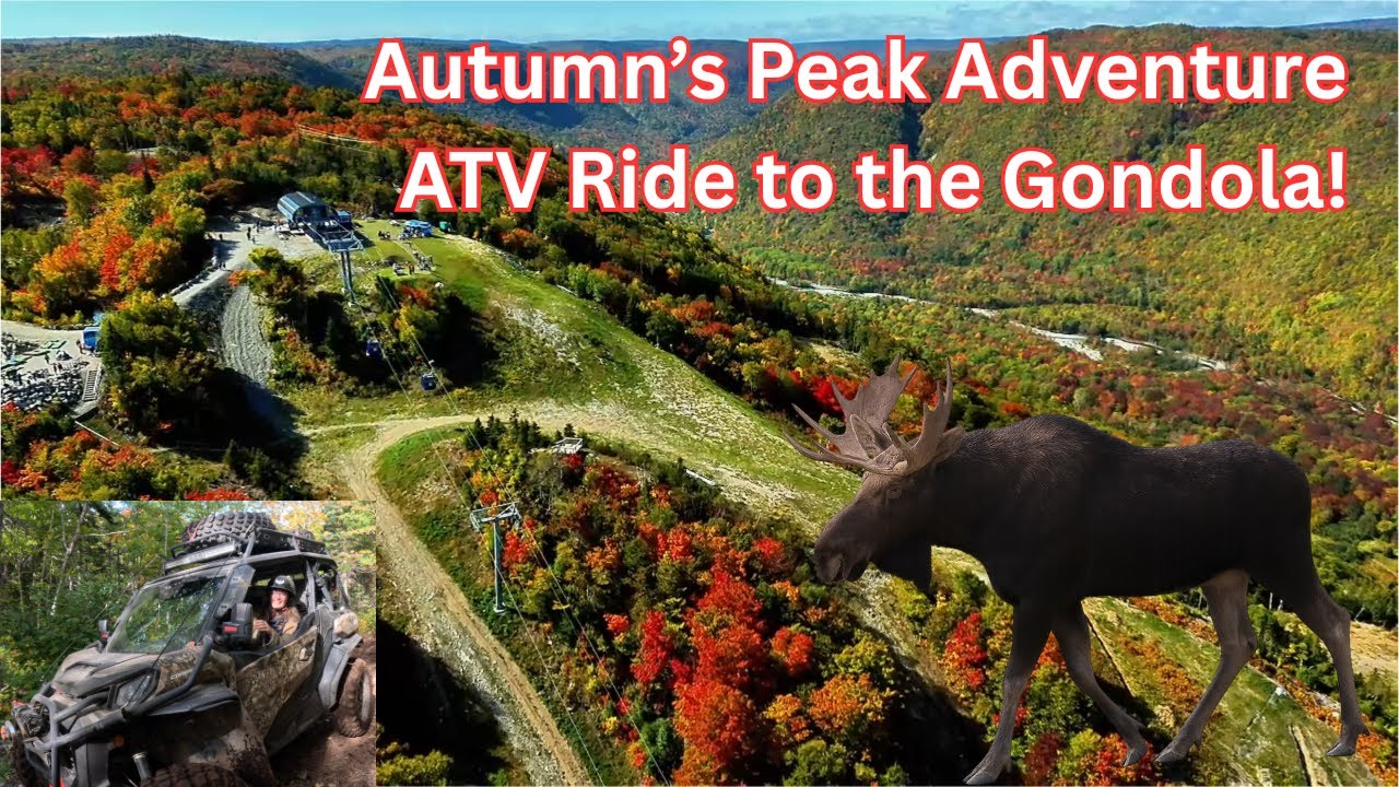 Пик приключений осени &mdash; поездка на квадроциклах к гондоле!