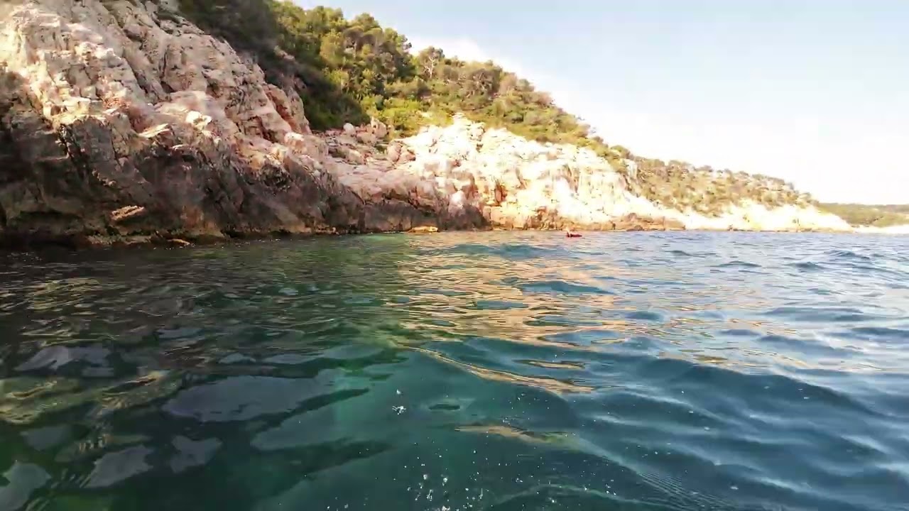 pêche sous marine avec constamment un son trés aigu pendant plus de 3 heures, des baleines ?