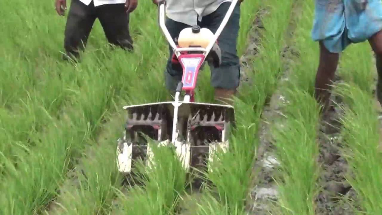 Automated power paddy weeder