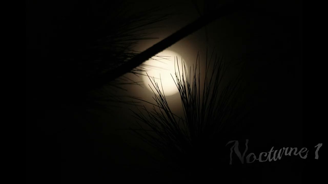 Nocturne 1