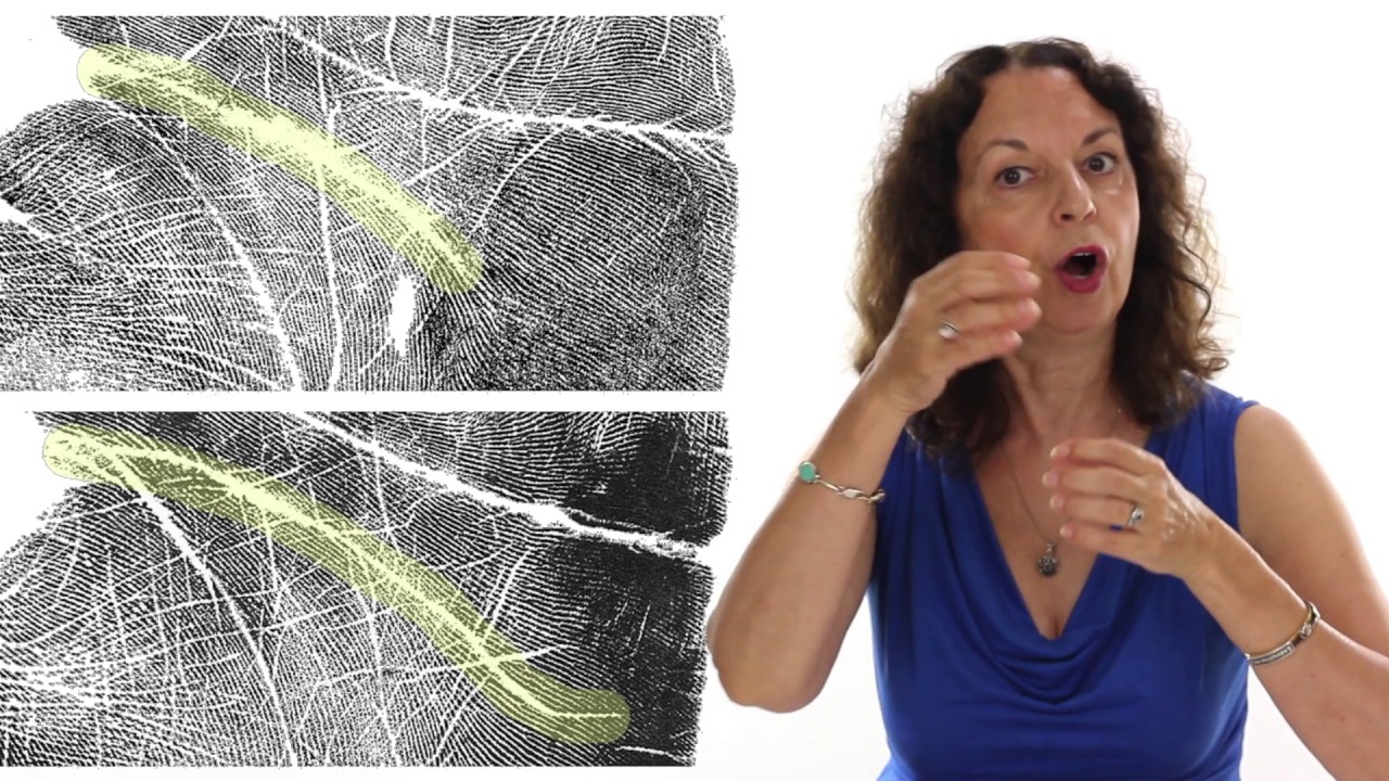 Connecting via the Head Line - Palmistry for Relationships