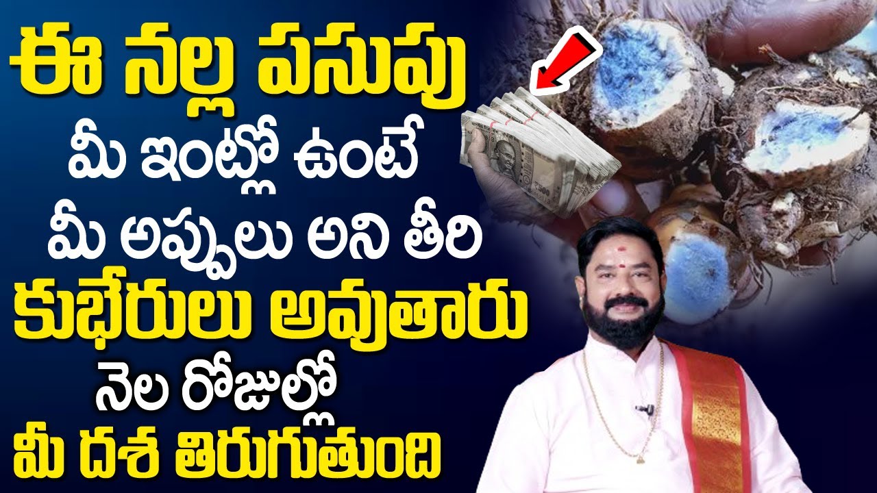 న‌ల్ల ప‌సుపు ఇంట్లో ఉంటే..| Importance Of Black Turmeric | Nalla Pasupu | Brahma Sri Rajan Nambudiri