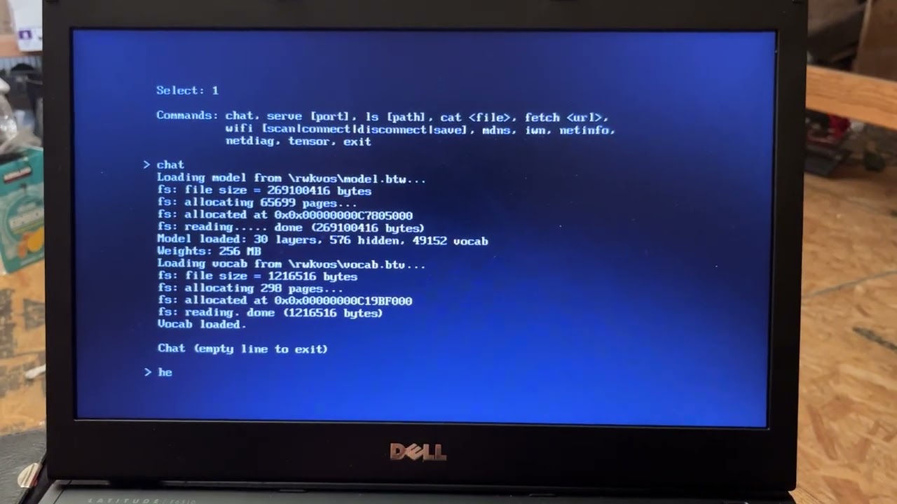 Bare-Metal AI: Booting Directly Into LLM Inference &sbquo; No OS, No Kernel (Dell E6510)