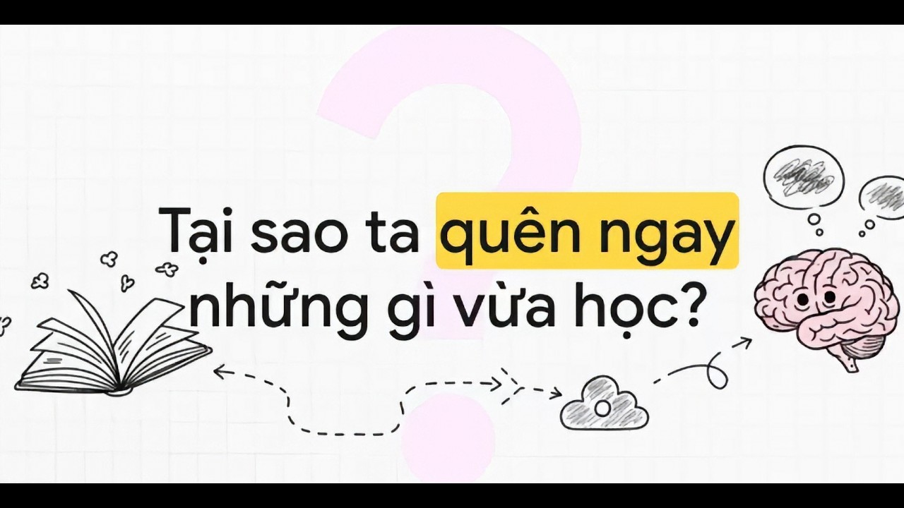 Vì Sao Ta Quên Ngay Những Gì Vừa Học? | Sách Học Thông Minh Làm Hiệu Quả | TTCB