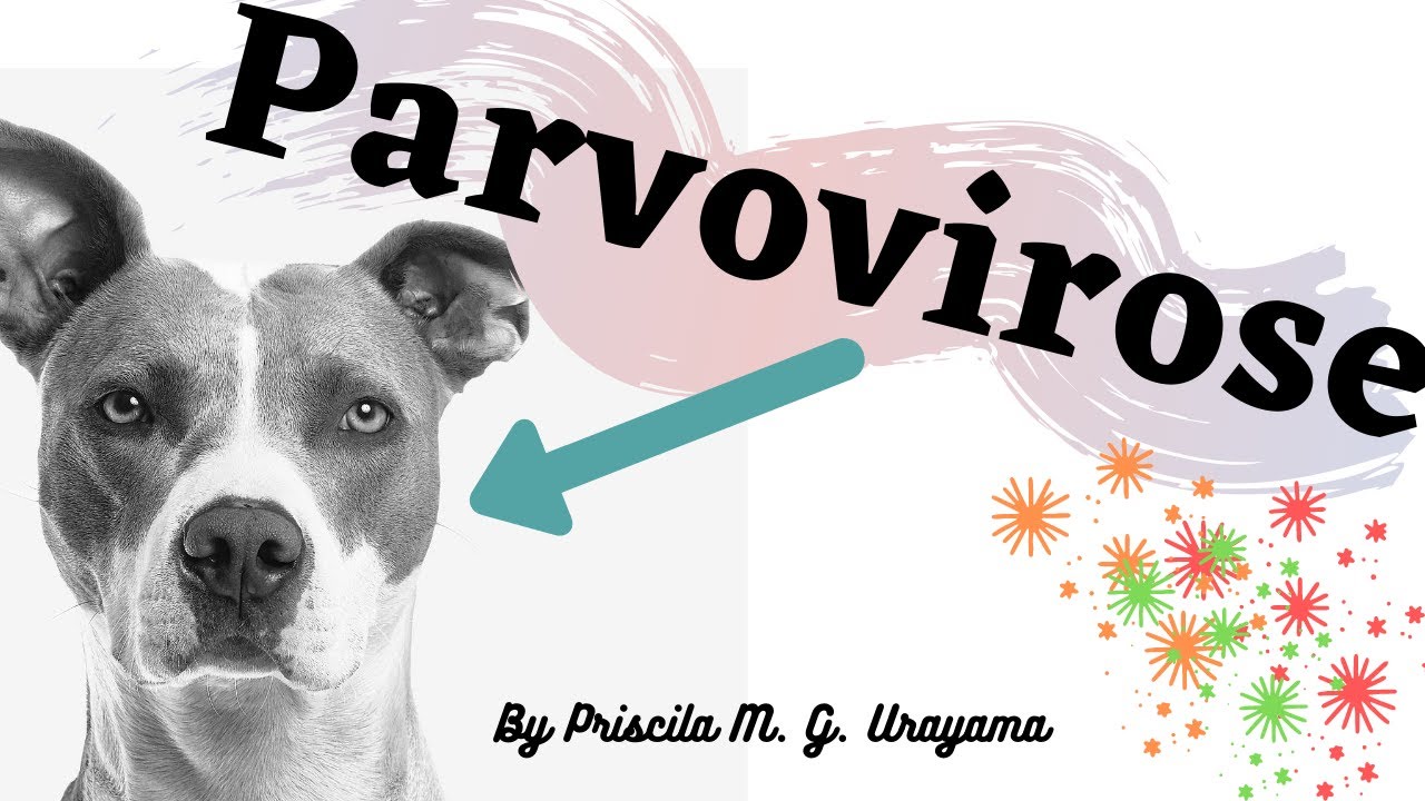 PARVOVIROSE CANINA - Aspectos gerais