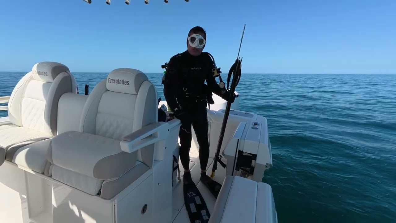 Hog hunting (hog fish, that is)