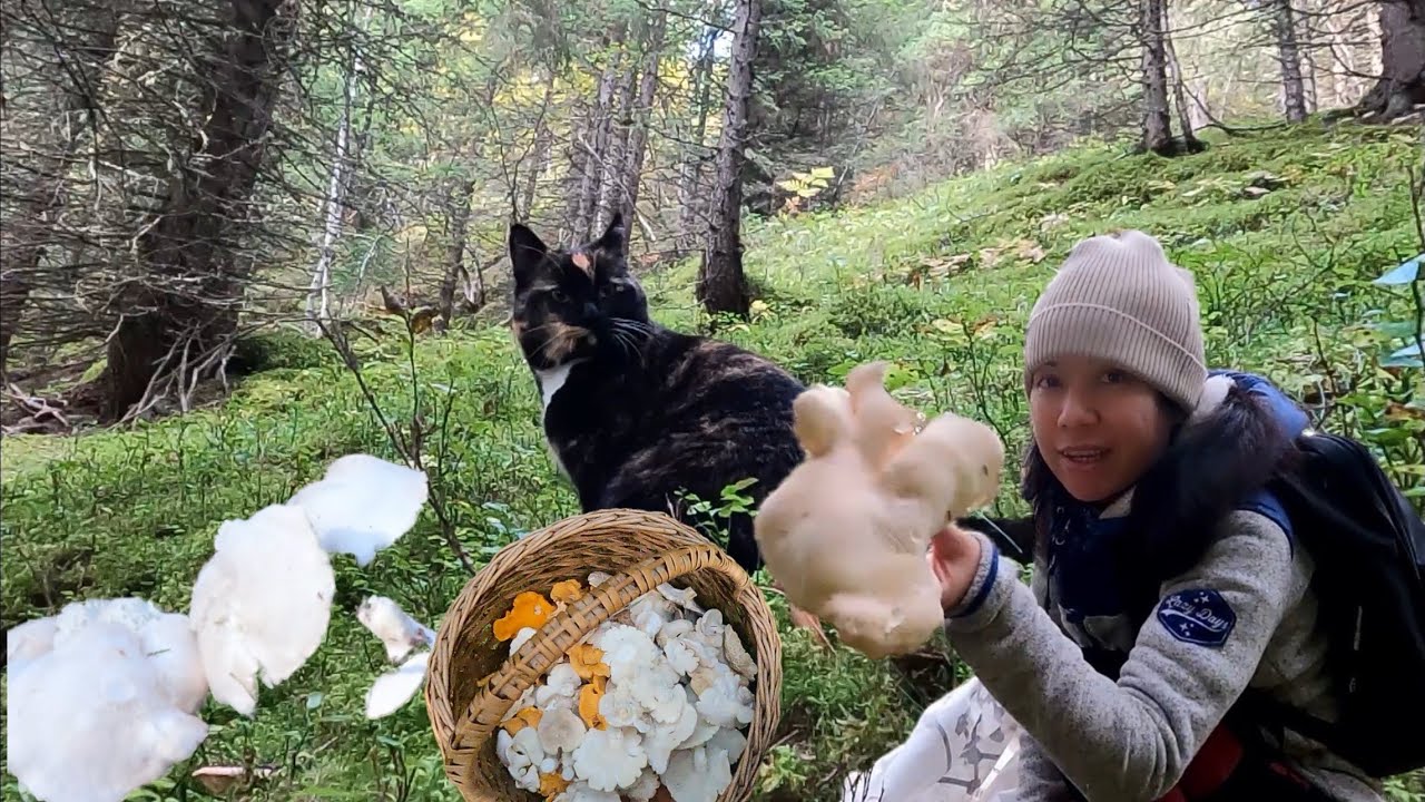 เก็บเห็ดหนังแกะเห็ดมันปูบนเขาสูงหลังบ้านอยู่ดีๆนึกว่าอะไรเดินมาหา04.10.24