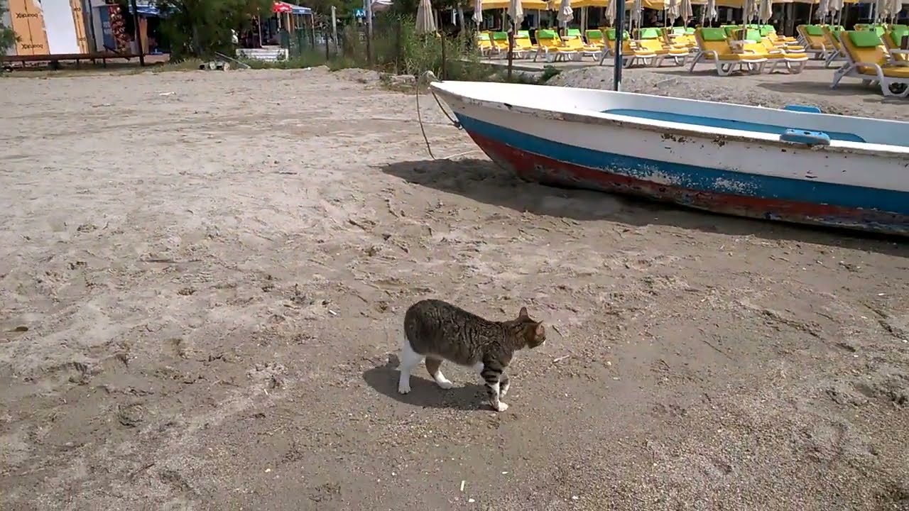 Южная часть пляжа Битез, Бодрум Турция               The southern part of Bitez beach, Bodrum Turkey