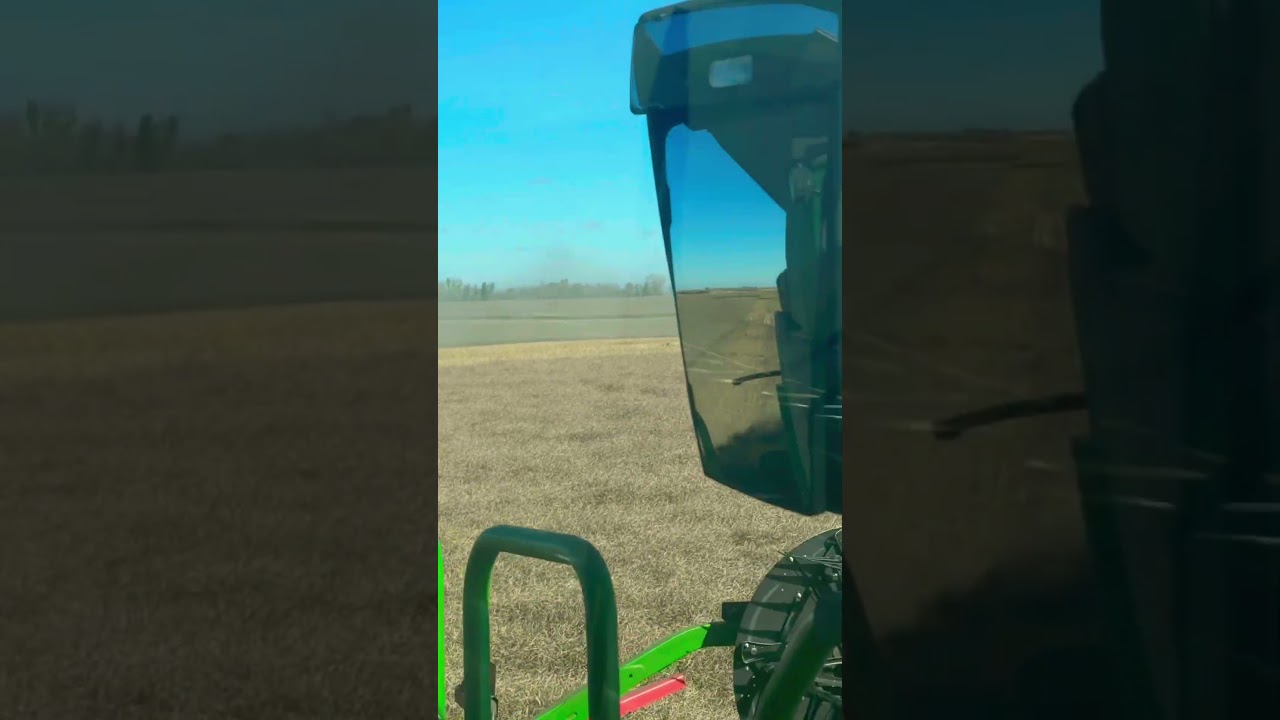 Kicking down Canola 
