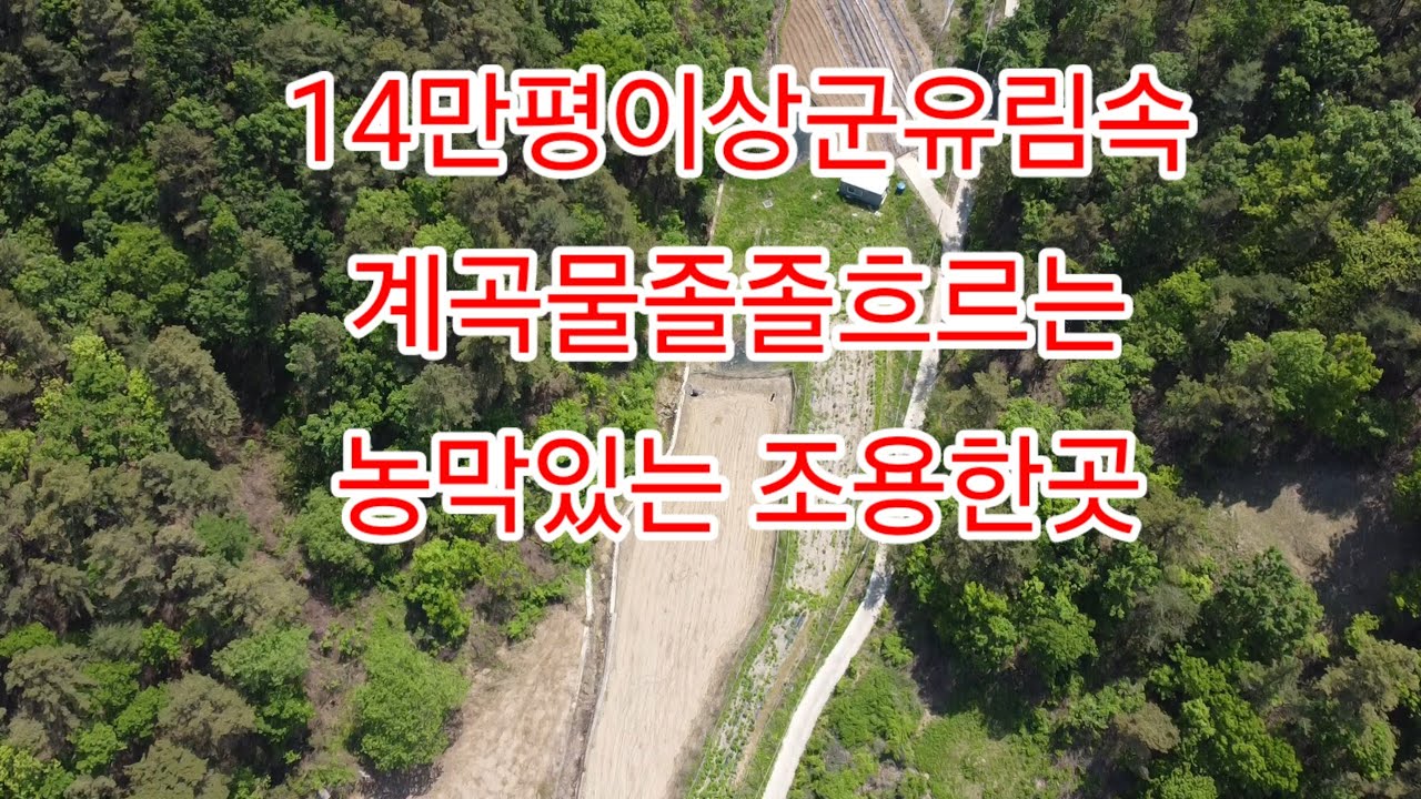 깊은 골 조용한 곳.농막+ 전기+ 연못