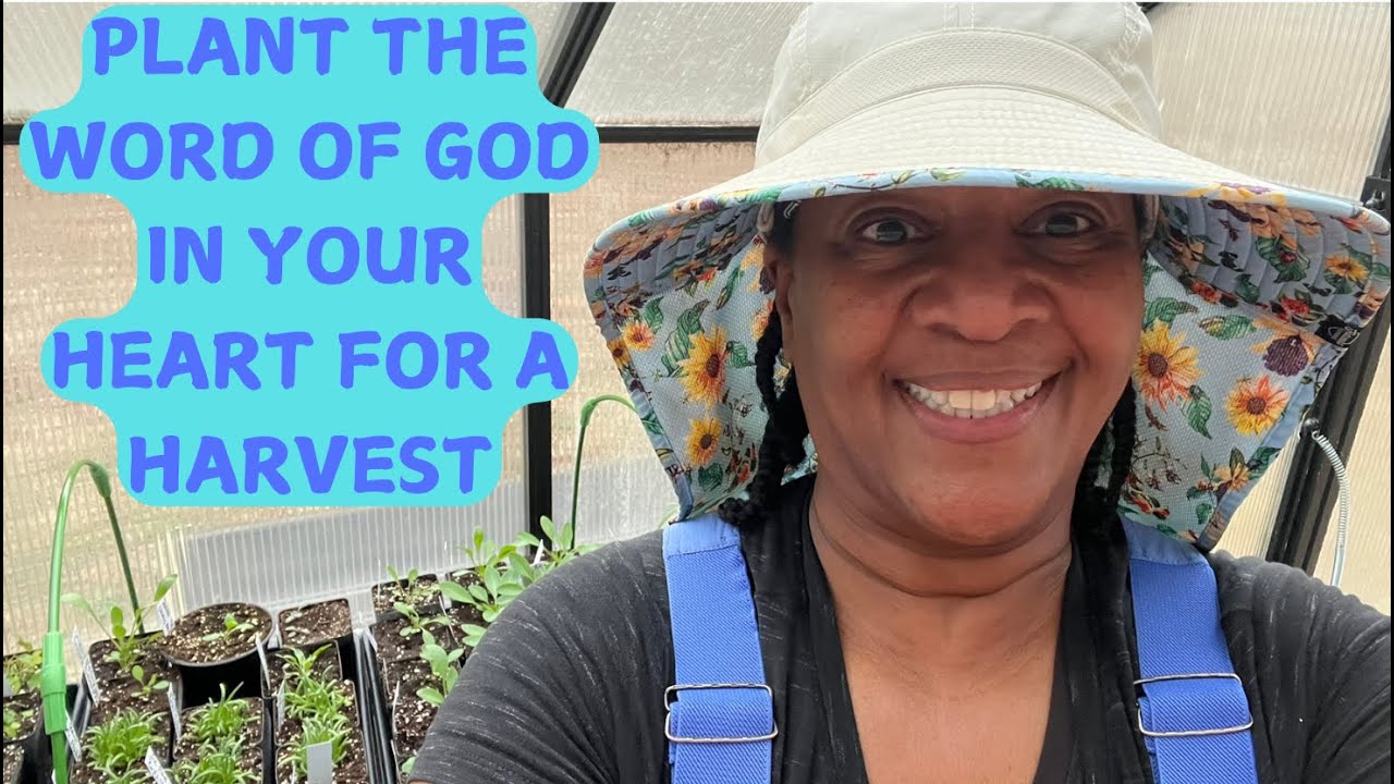 Experience SPIRITUAL Growth By Planting A Seed of God's Word