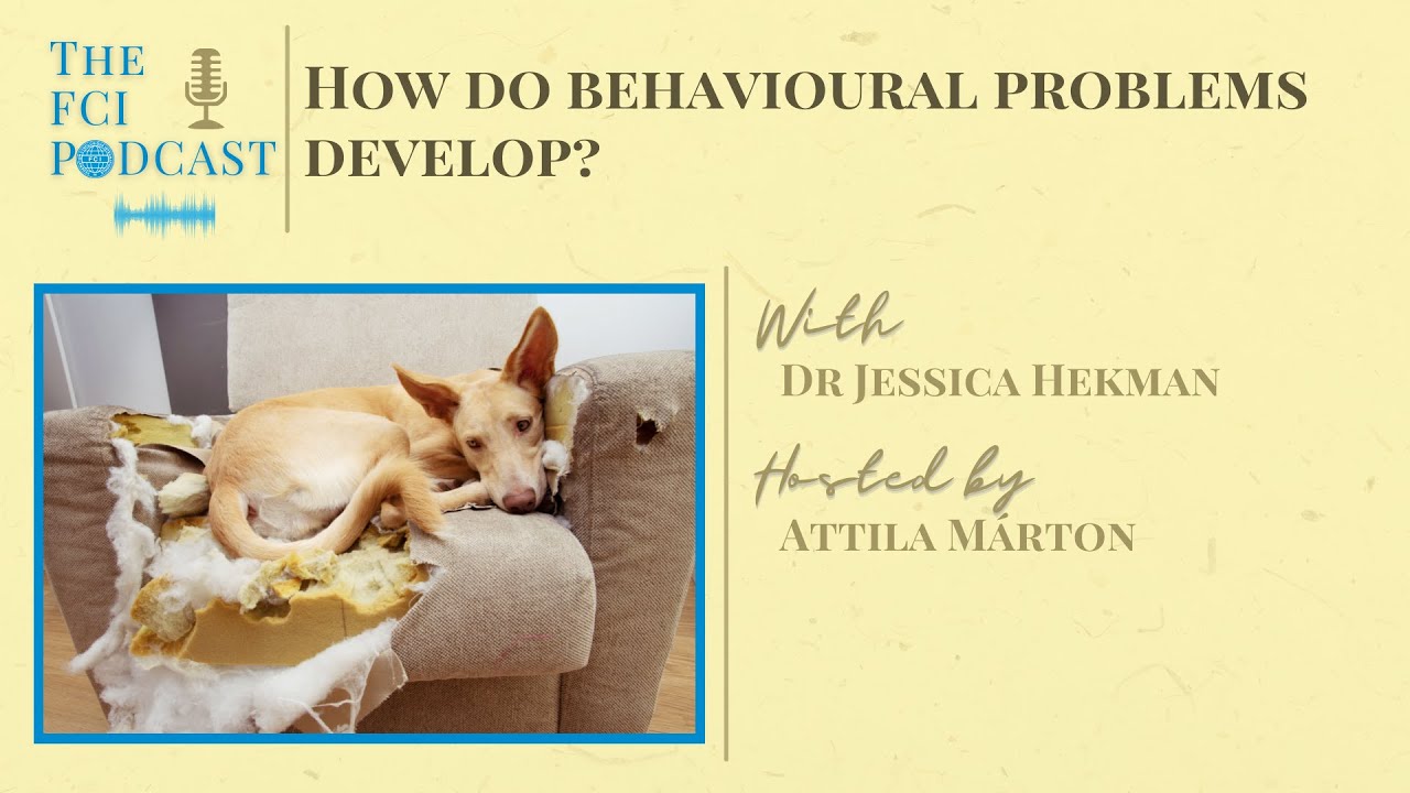 How do behavioural problems develop? - The FCI Podcast