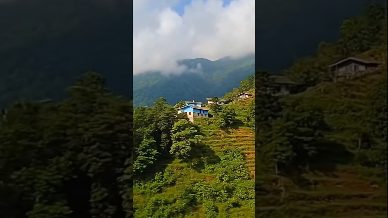 binsiri ki bela garhwali #narendarsinghnegi #nature #pahadi #garhwalisong #pahadiculture