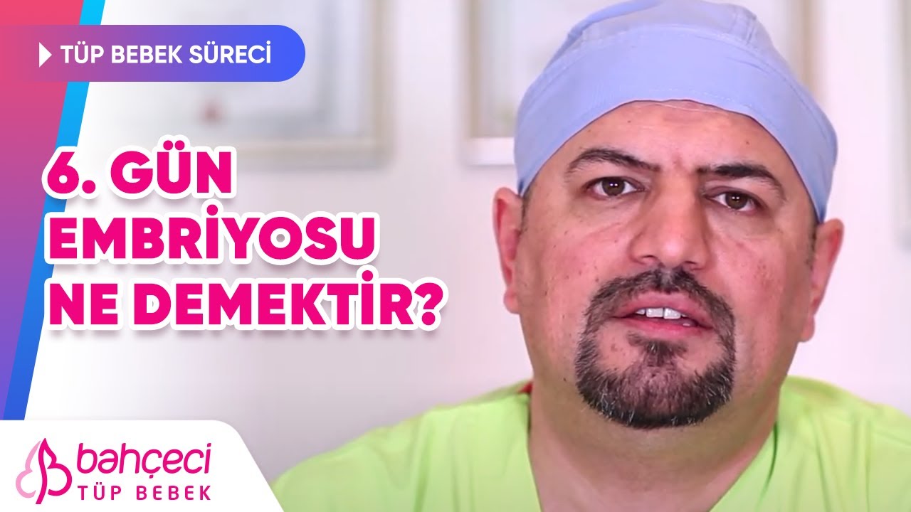 6. Gün Embriyosu Ne Demektir?
