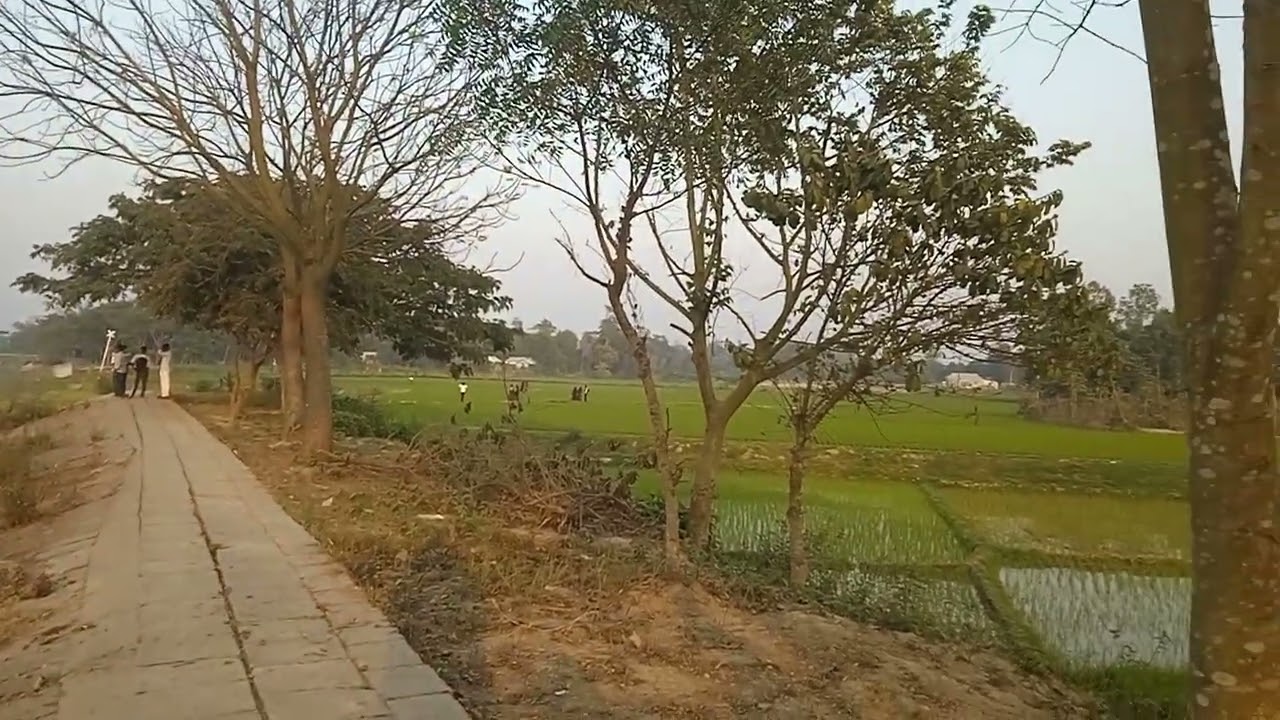কি মনোরম পরিবেশ  ❤️❤️