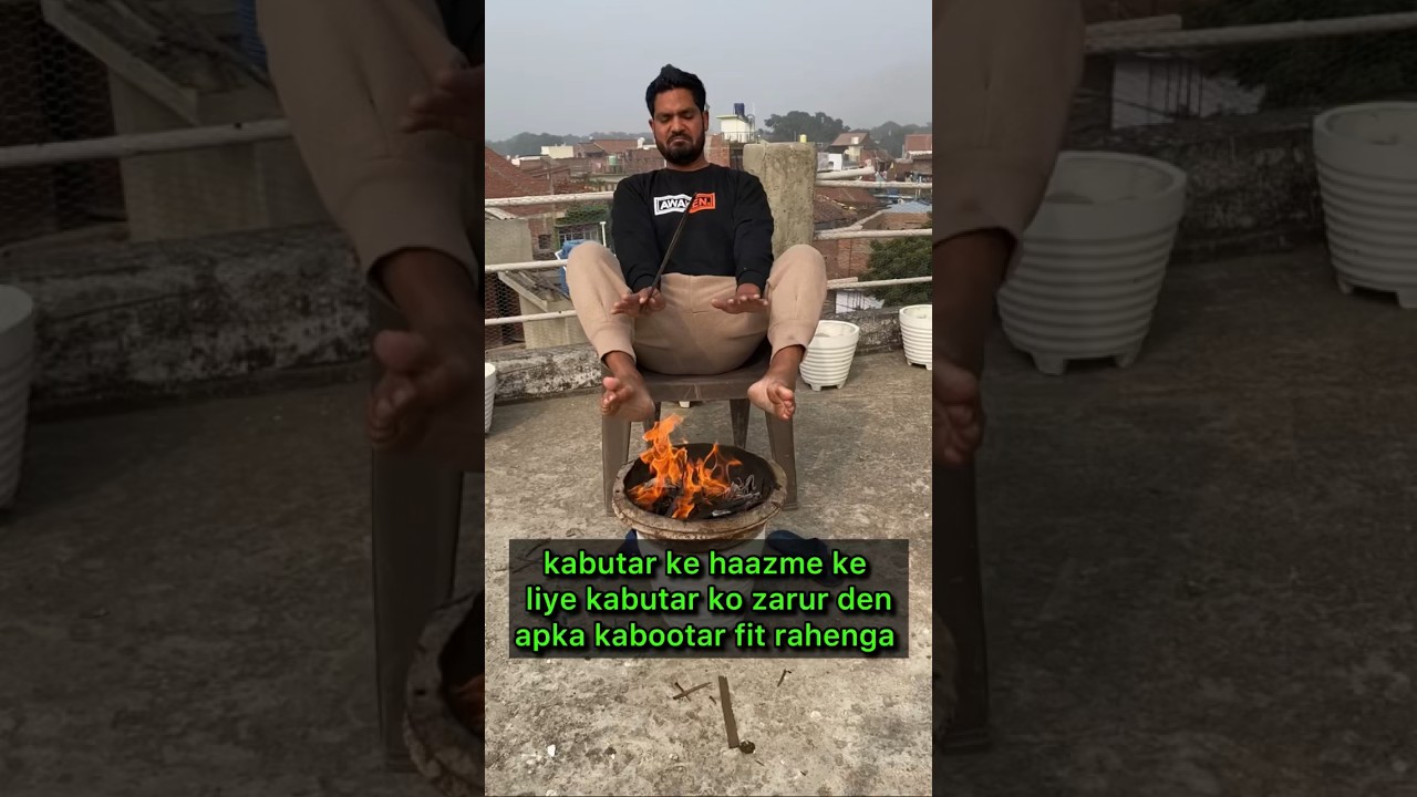 amazing pigeon tips 👍 | #pigeontips #pigeon #kabootar #kabootarbazi #shorts