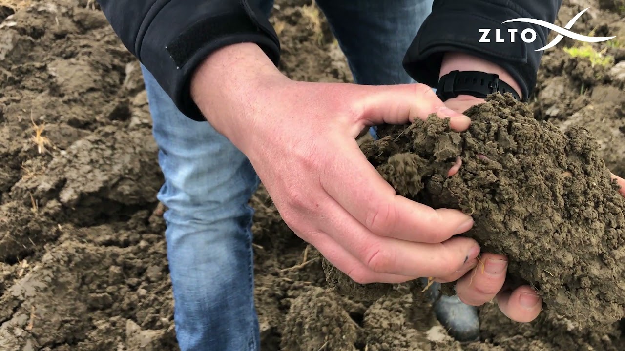 Veldproef Slim Landgebruik - Overwinterende groenbemesters en Niet Kerende Grondbewerking