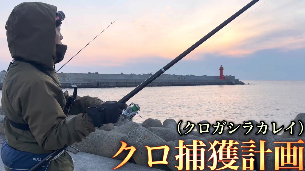 【投げ釣り】クロガシラカレイ捕獲計画！ホッケFEVERと最後を飾るクロいやつ！