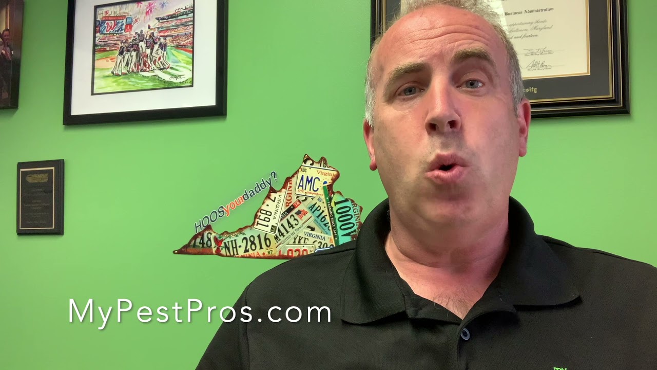 Why My Pest Pros? Locally-Owned Pest Control Serving DMV