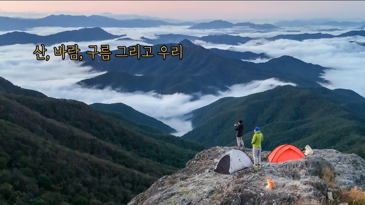 강아지와 함께 보는 환상적인 풍경
